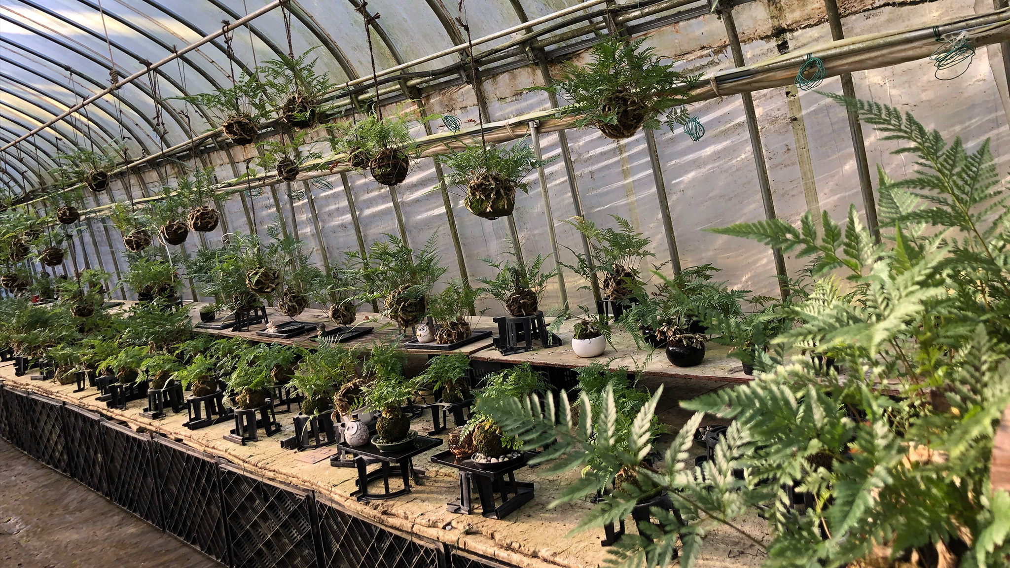 Tsurishinobu Garden Tour & Craft Demonstration, Plus Lucky Charm Making at Ebisu Shimada